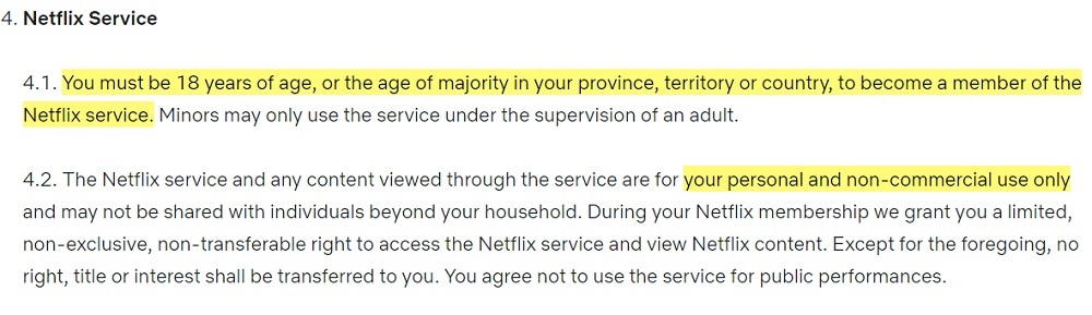 Netflix Terms of Use: Netflix Service clause - Age and personal non-commercial use sections highlighted