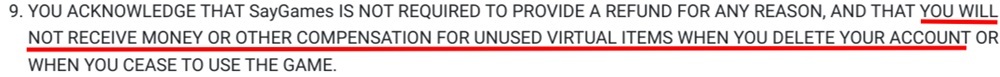 Say Games Terms and Conditions excerpt
