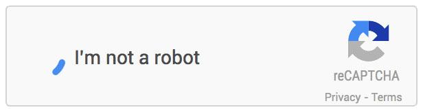 Example of reCAPTCHA / Invisible Captcha