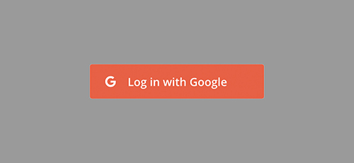 Login with Google icon