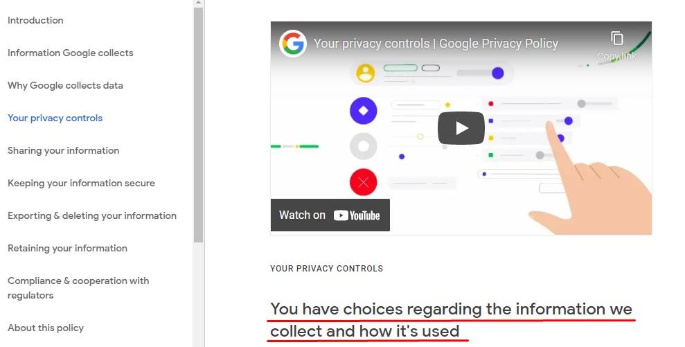 Google Privacy and Terms: Your Privacy Controls clause with video section highlighted